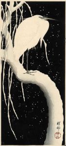 Egret Snow - The White Prince